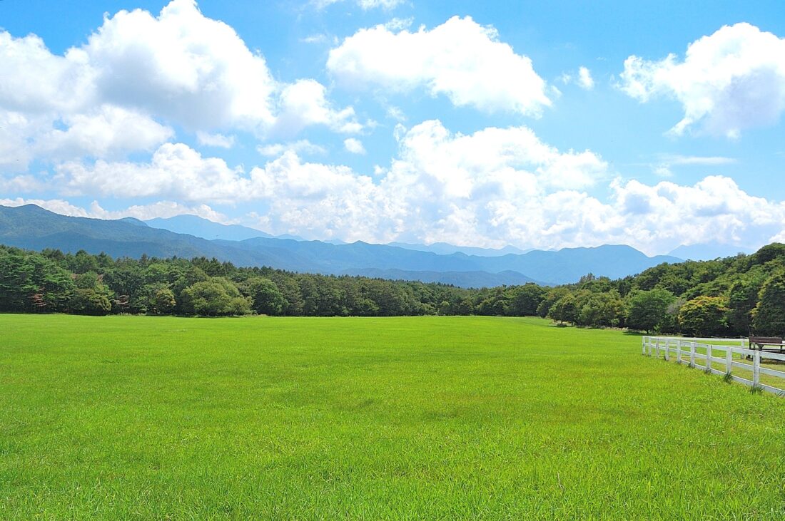 薄毛と見られる“おでこの広さ”　イメージ